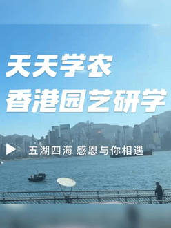 与香港园艺学会联合举办香港园艺研学，专业园境师带队讲解。