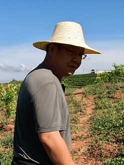 农业人叶涛，50多岁通讯人跨界搞农业，他要用1000万打造一个梦。